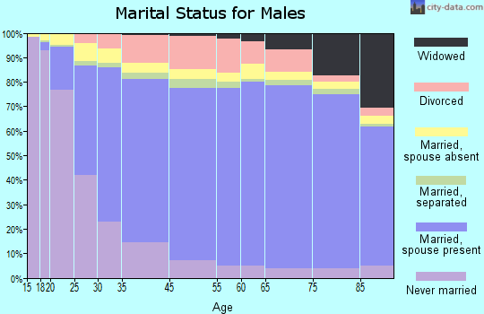 Maui County marital status for males