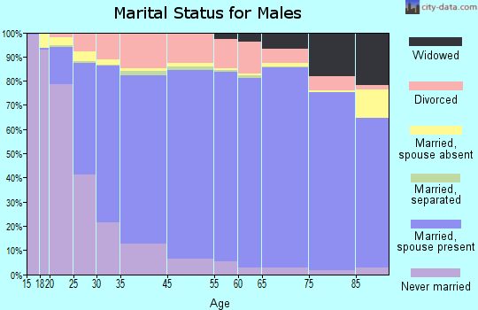 Lenoir County marital status for males