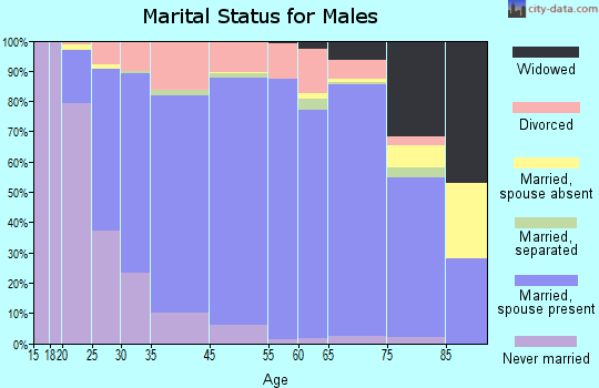 Okfuskee County marital status for males