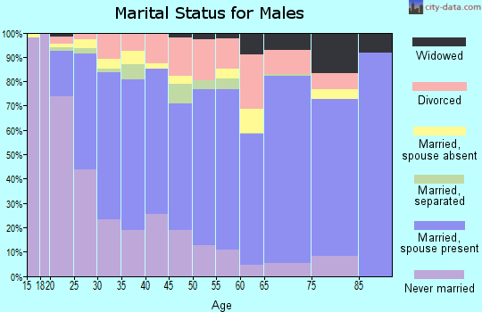 Christian County marital status for males