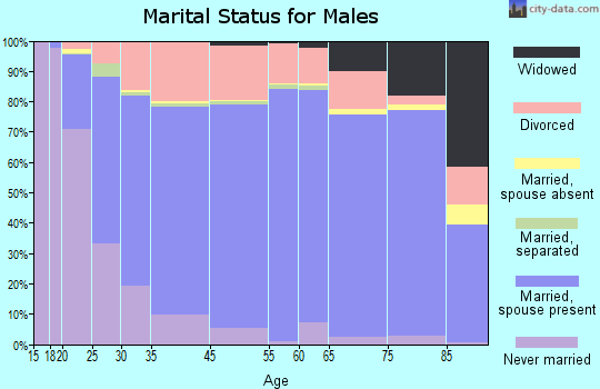 Saguache County marital status for males