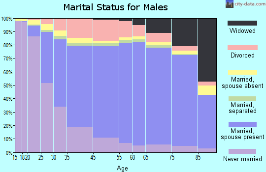 Morgan County marital status for males