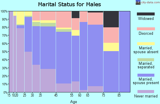 Brown County marital status for males
