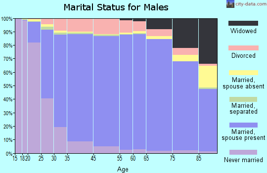 Logan County marital status for males