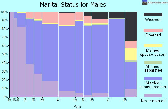 Olmsted County marital status for males