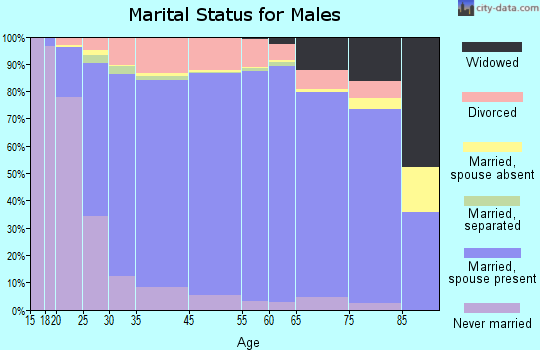 McHenry County marital status for males