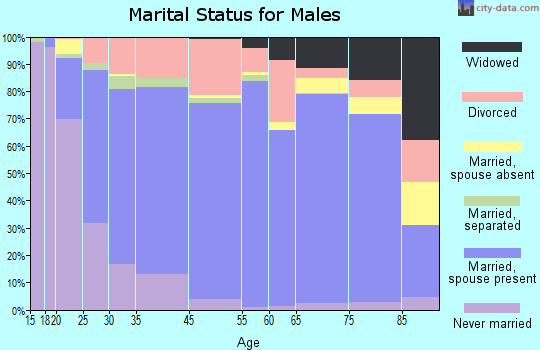 Lee County marital status for males