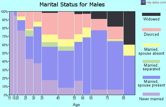 Yellowstone County marital status for males
