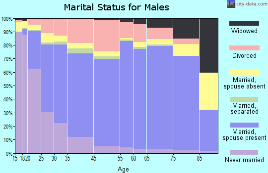Somerset County marital status for males