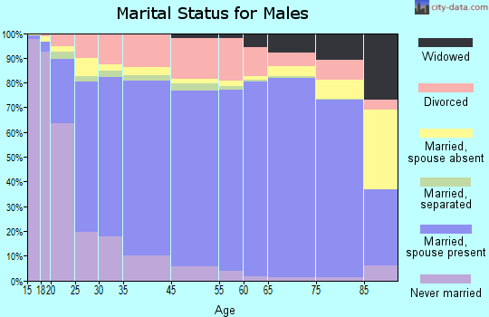 Macon County marital status for males