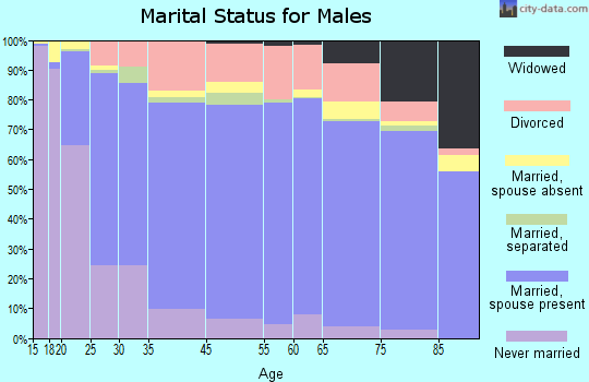 Lunenburg County marital status for males