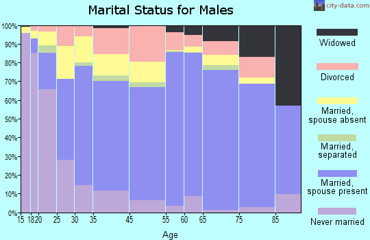 San Miguel County marital status for males
