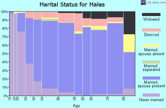 Noble County marital status for males