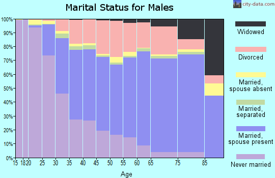 Genesee County marital status for males