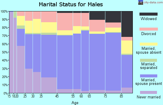 Warren County marital status for males