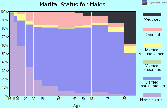 Sullivan County marital status for males