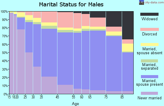 Essex County marital status for males