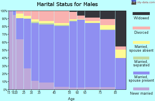 Pope County marital status for males