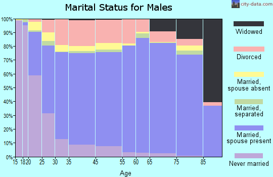 Floyd County marital status for males