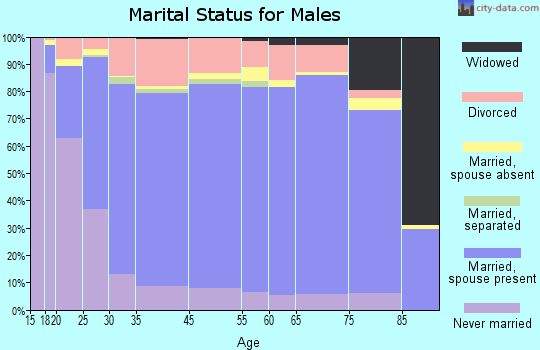 Marion County marital status for males