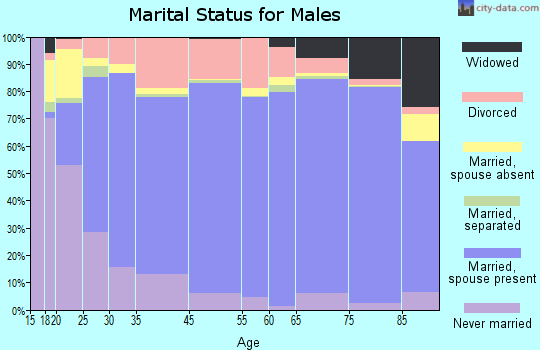 Morgan County marital status for males