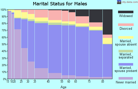 Benton County marital status for males