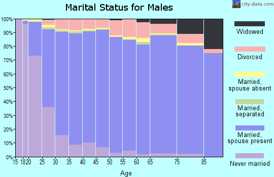 Utah County marital status for males