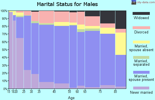 Susquehanna County marital status for males