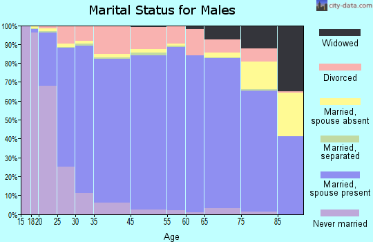 Marion County marital status for males