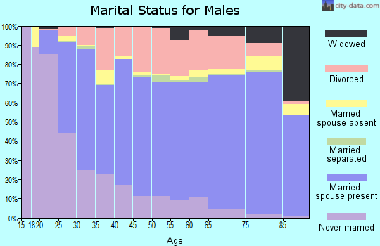 Bannock County marital status for males