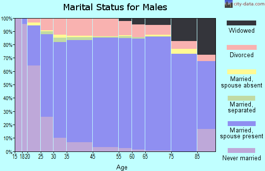 Summit County marital status for males