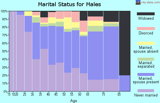 Bethel Census Area marital status for males