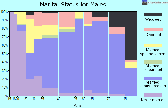 Macoupin County marital status for males