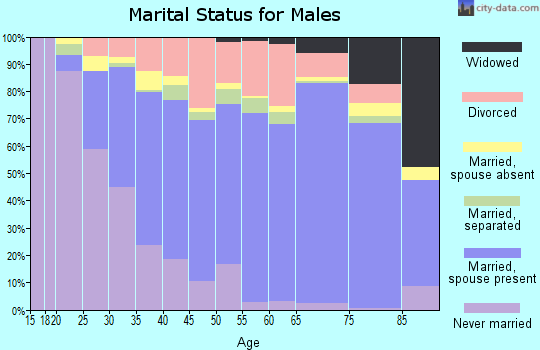 Elmore County marital status for males