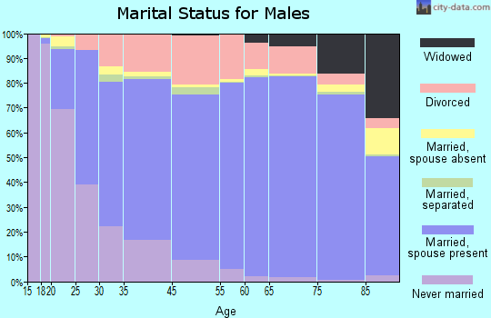 Deaf Smith County marital status for males
