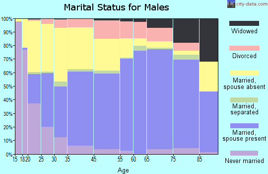 Teller County marital status for males