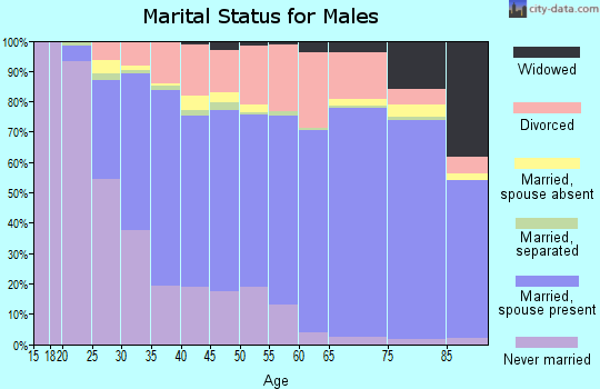 Gladwin County marital status for males