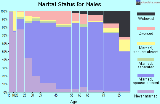 Owen County marital status for males