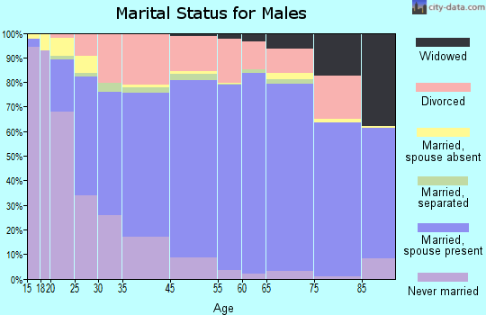 Meade County marital status for males