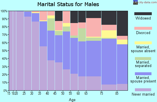 Holmes County marital status for males