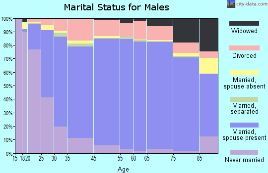 Webster Parish marital status for males