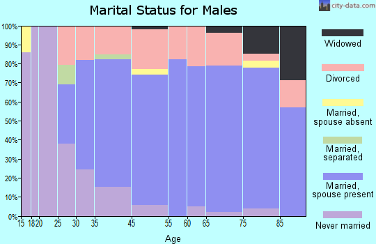 McDonald County marital status for males