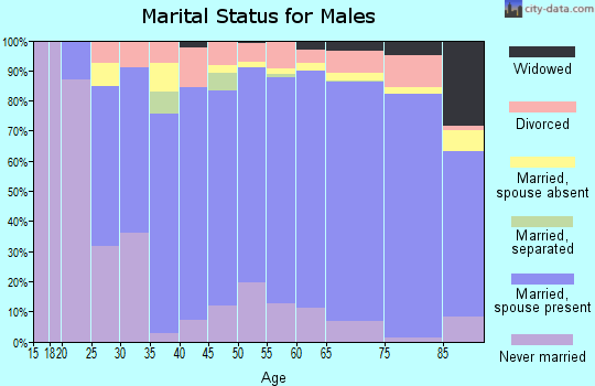 Dixon County marital status for males
