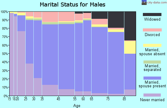 Union County marital status for males