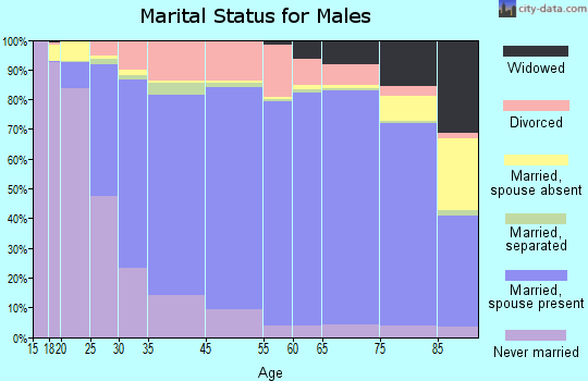 Madison County marital status for males