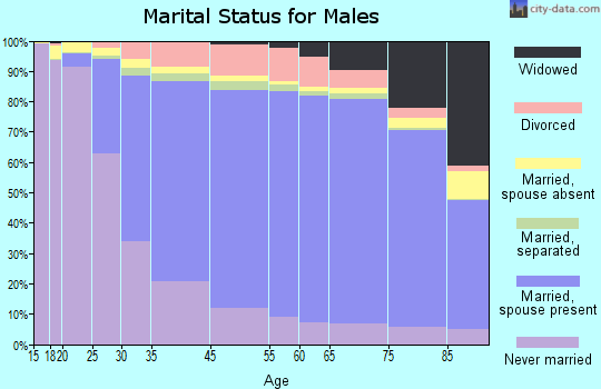 Muskegon County marital status for males