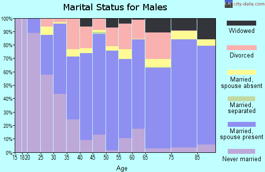 Burleson County marital status for males