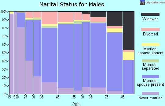 Mitchell County marital status for males