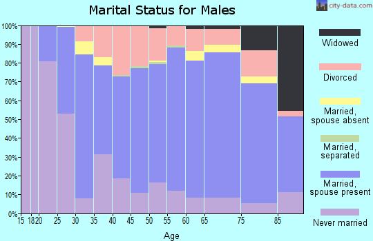 Iron County marital status for males