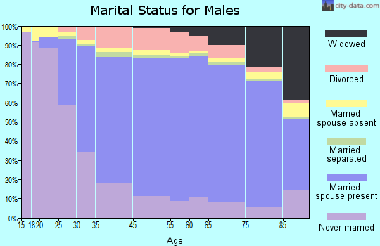 Denton County marital status for males